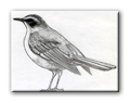 painting bird-icon.jpg